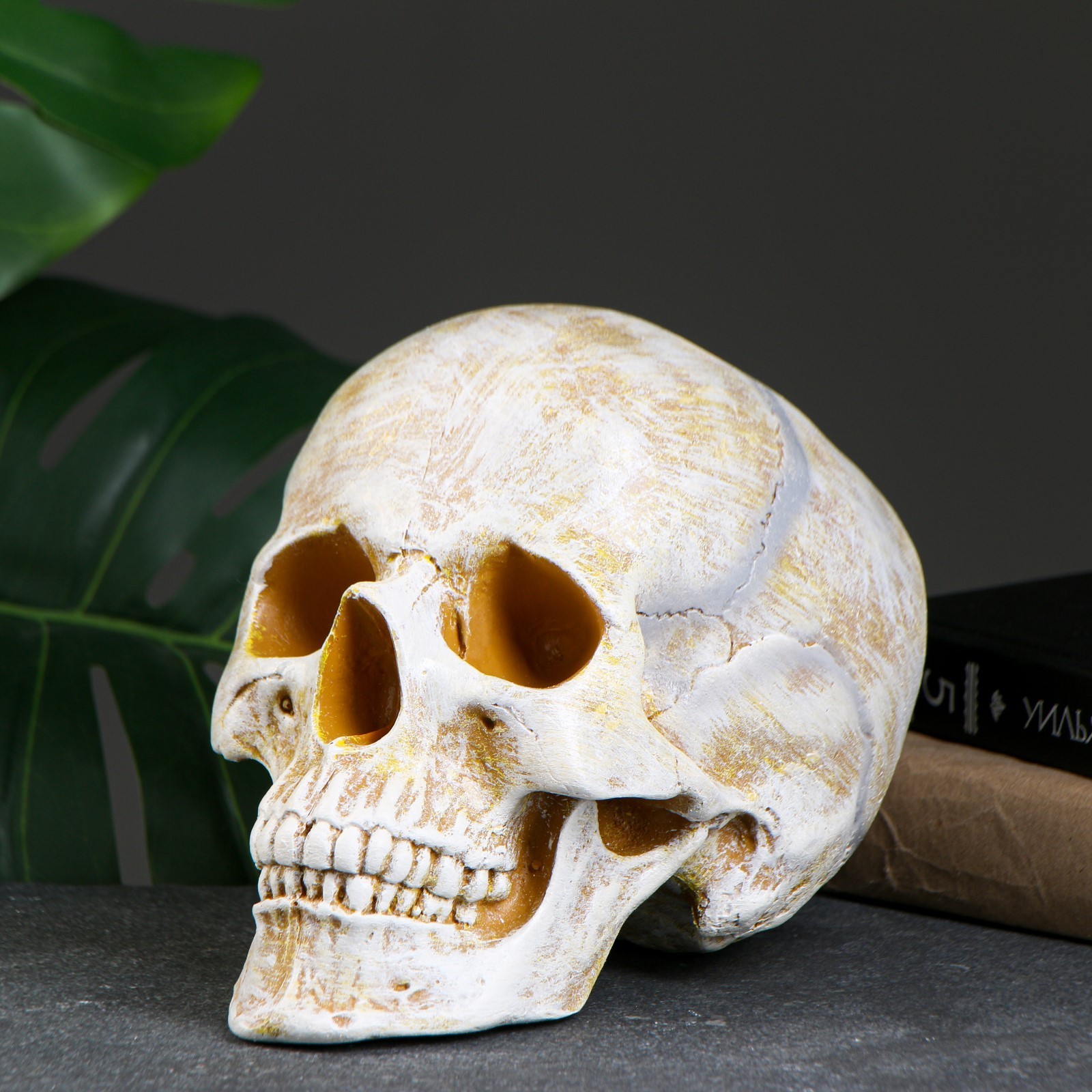 Копилка "Череп" кость, 16х13х22см 4763776