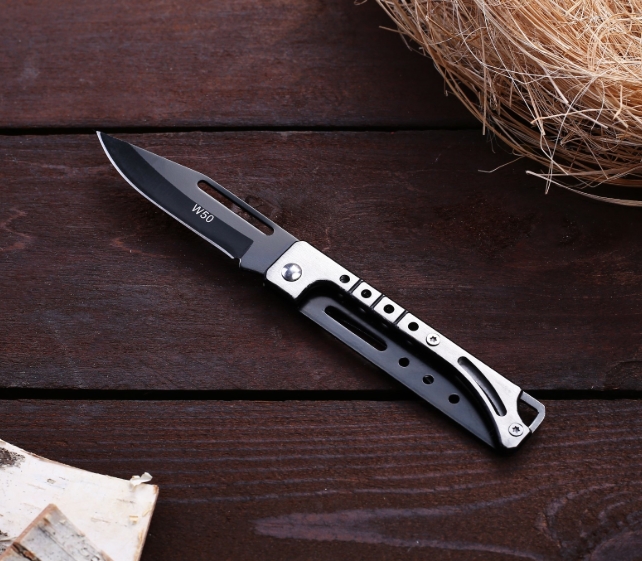 Нож складной "Рысь" 16,5см, клинок 75мм/1мм, микс 1850708