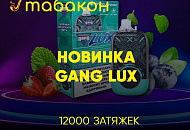 НОВИНКА GANG LUX на 12000 затяжек