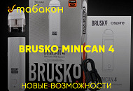 BRUSKO MINICAN 4