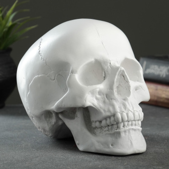 Копилка "Череп" белый, 16х13х22см 7162760