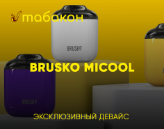 Новинка BRUSKO MICOOL