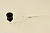 Сувенир Арабская трубка стекло DK 8564